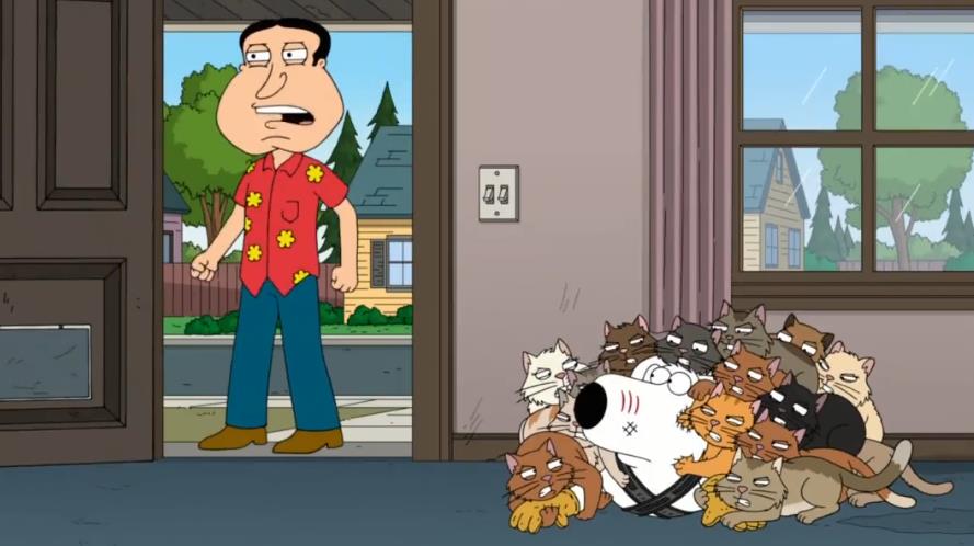 Гриффины приютили кошку, которая обманом заставила Мег стать рабыней кошек. Какая серия Гриффинов?